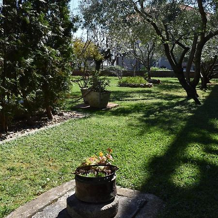 Apartman Dodo زادار المظهر الخارجي الصورة